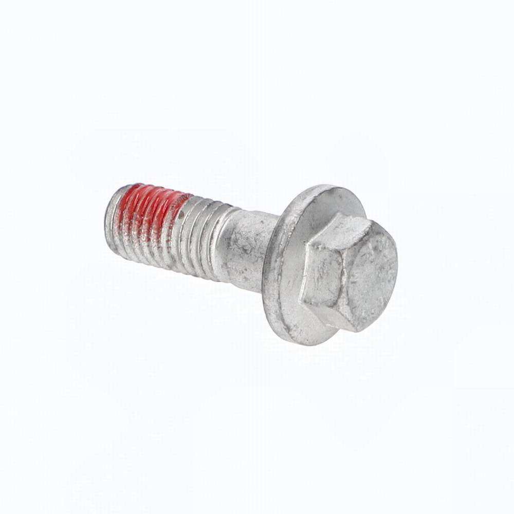 RYG100910 - BOLT-NYLON-PATCH Genuine