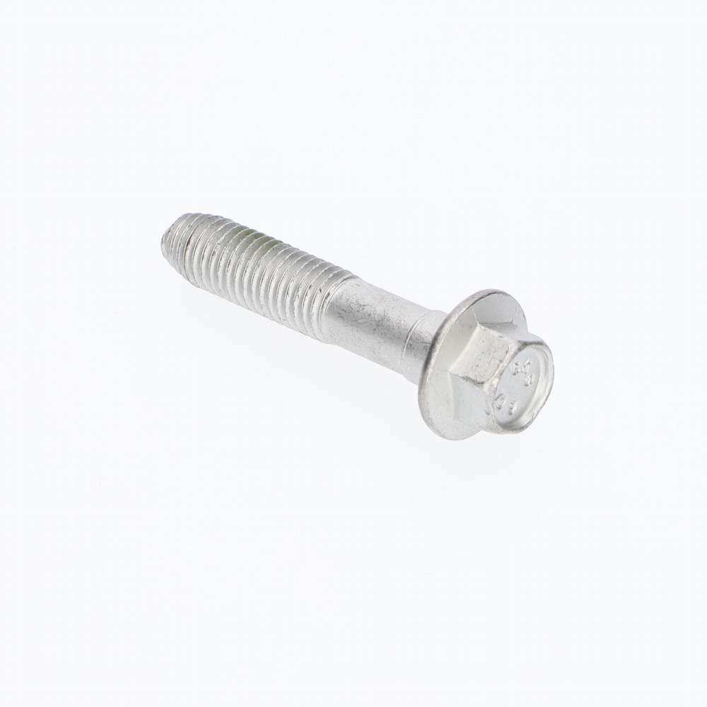 RYG101140 - BOLT-FLANGED HEAD Genuine