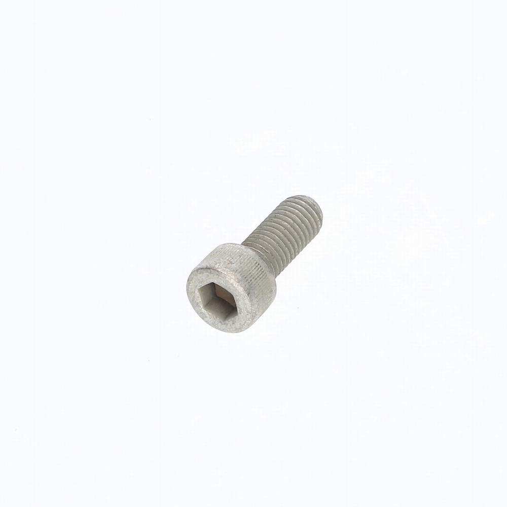 SS110251 - CAPSCREW-HEXAGON SOCKET M10 x 25 Genuine